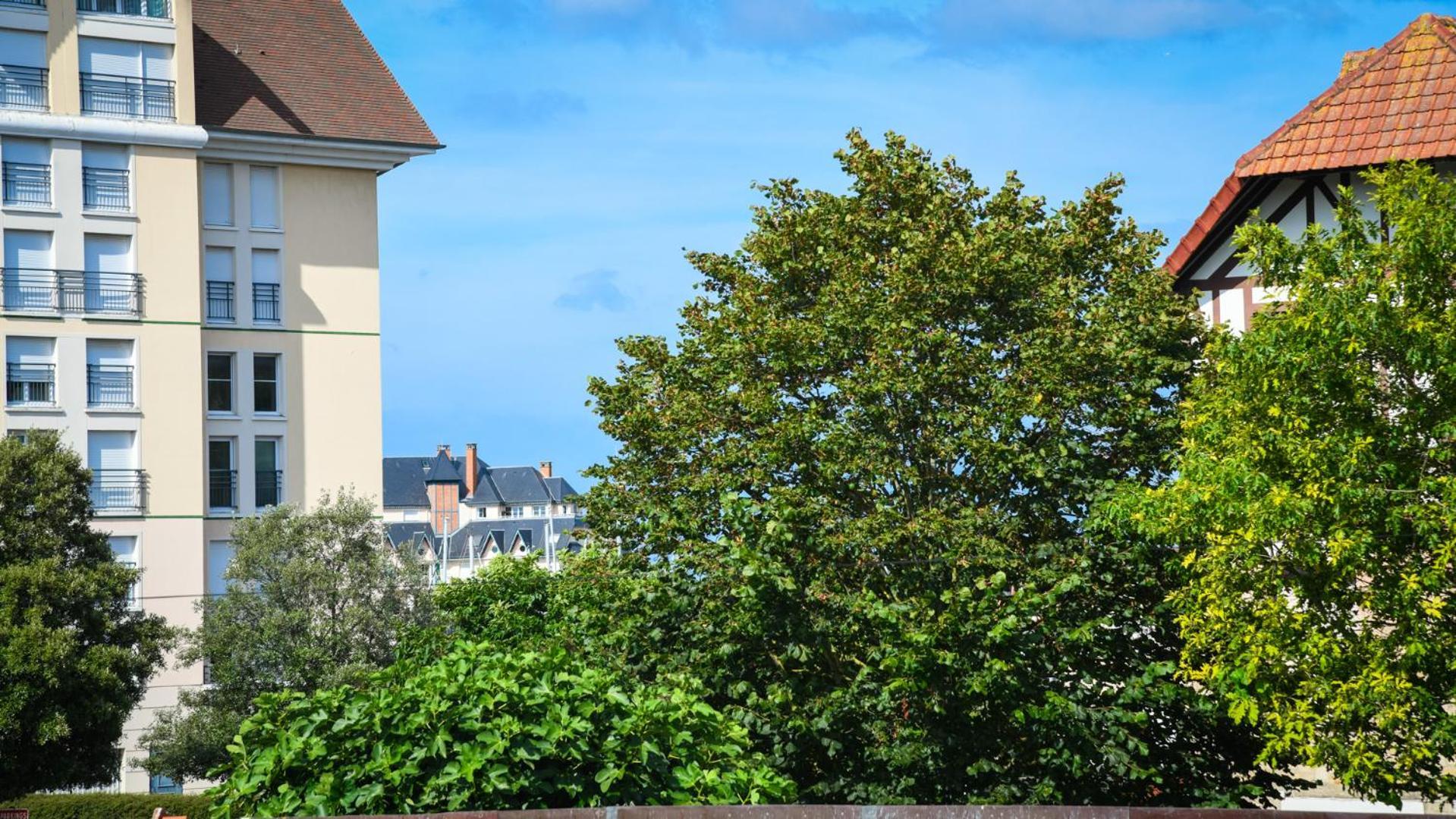 Superbe Appartement Proche Port Guillaume Dives-sur-Mer Exterior photo